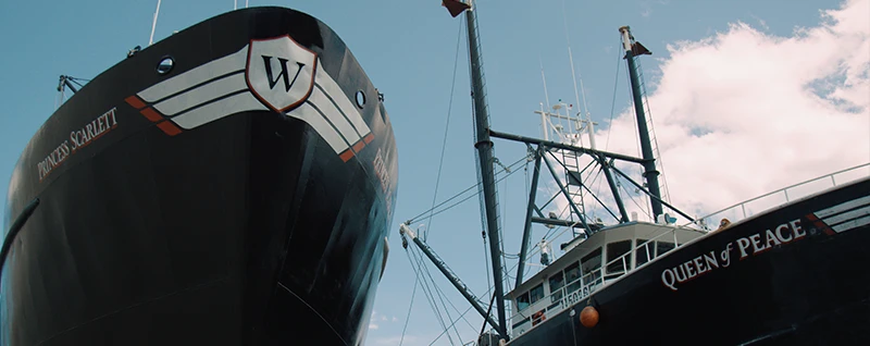 Commercial Marine Market