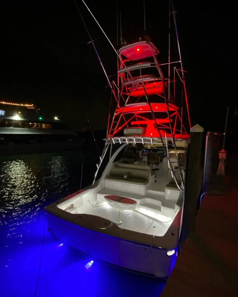 Lumishore cruiser